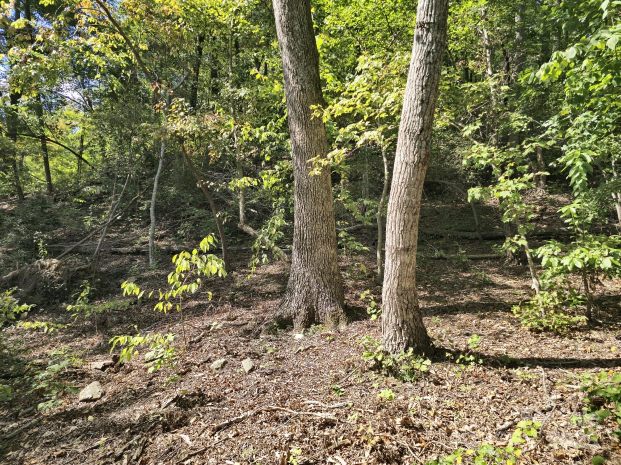 2921 Painters Gap Road Union Mills, NC 28167 - Photo 21 of 44 a backyard of a house with lots of green space