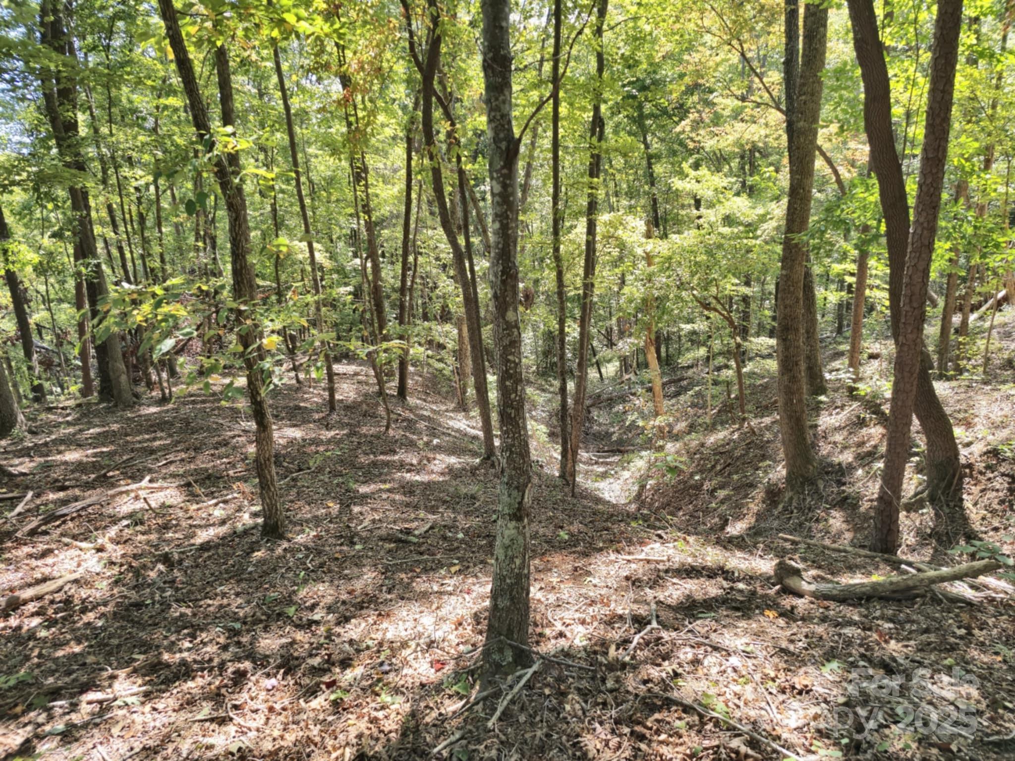 2921 Painters Gap Road Union Mills, NC 28167 - Photo 22 of 44 a view of outdoor space and yard