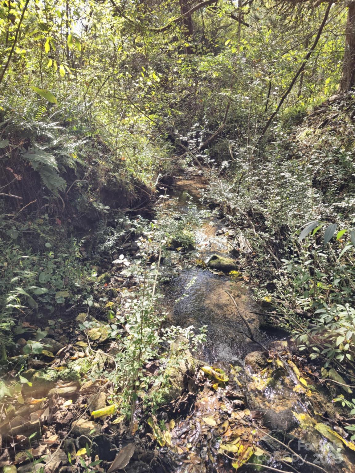 2921 Painters Gap Road Union Mills, NC 28167 - Photo 28 of 44 a view of a yard with a tree