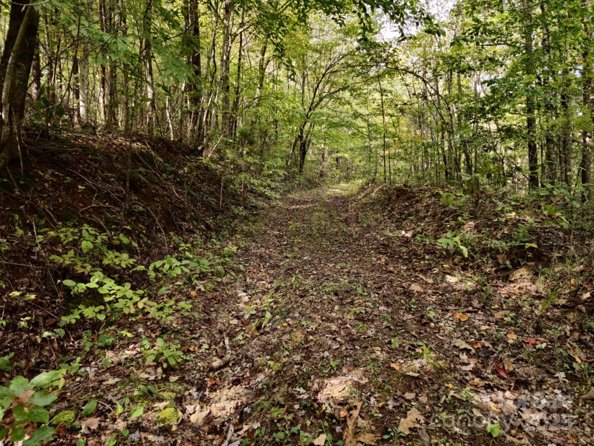 2921 Painters Gap Road Union Mills, NC 28167 - Photo 29 of 44 a view of a yard