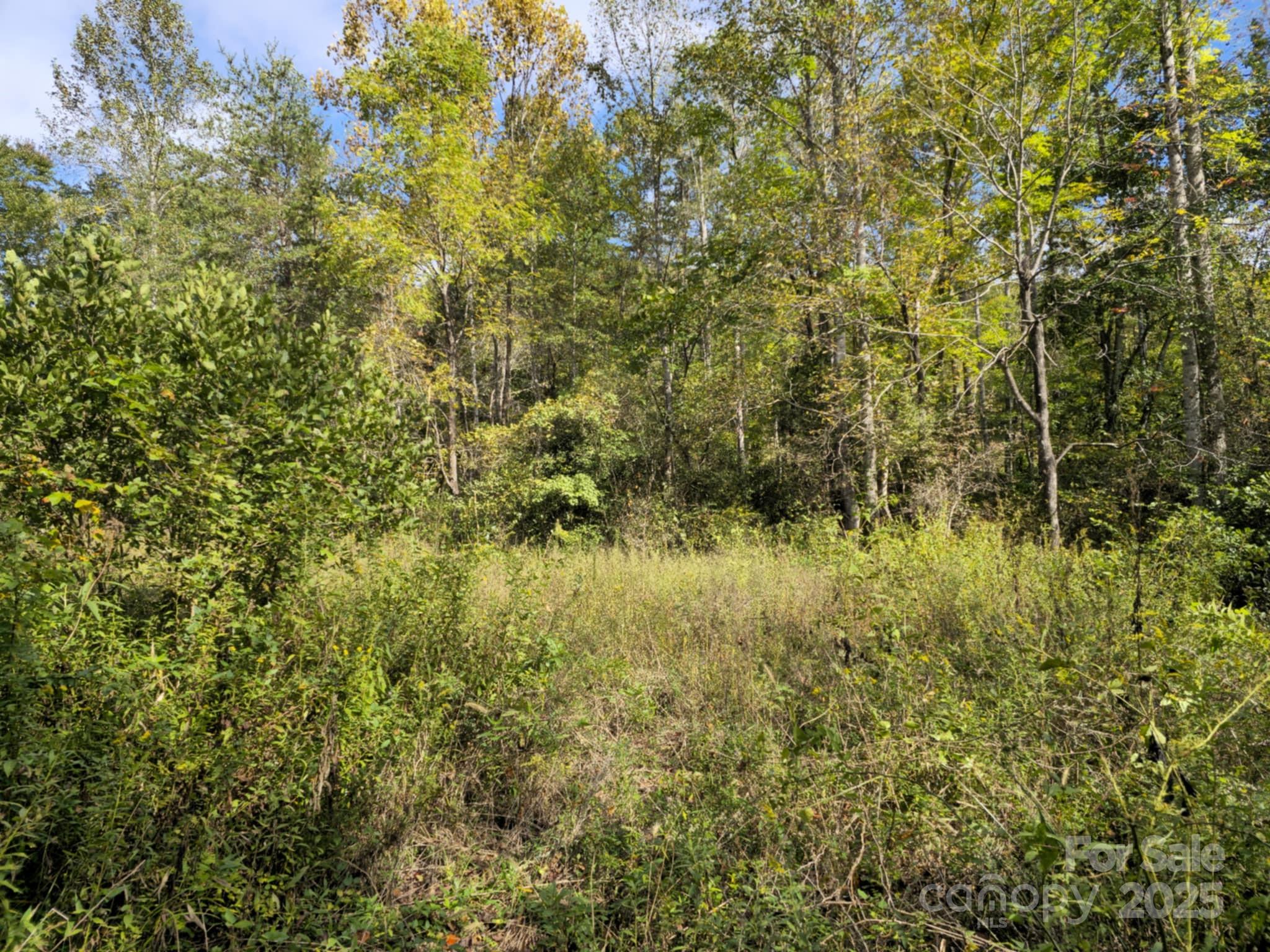 2921 Painters Gap Road Union Mills, NC 28167 - Photo 30 of 44 a view of a yard