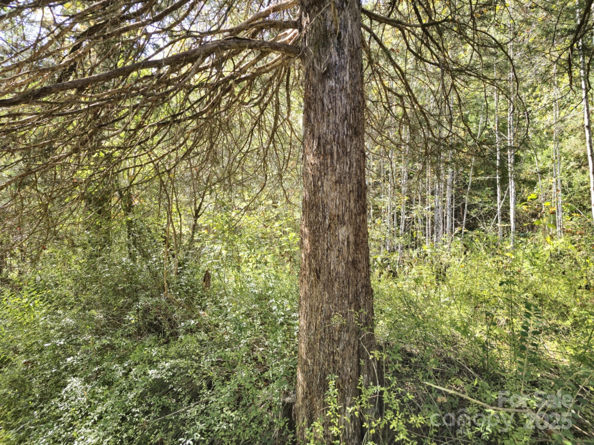 2921 Painters Gap Road Union Mills, NC 28167 - Photo 31 of 44