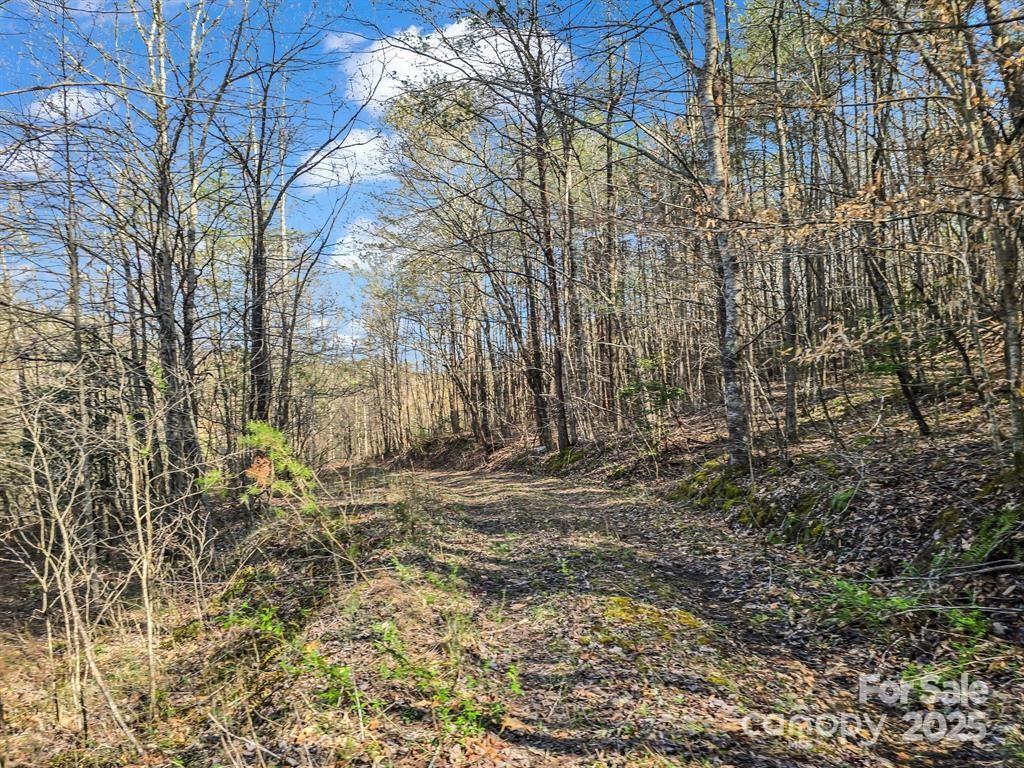 2921 Painters Gap Road Union Mills, NC 28167 - Photo 33 of 44 a view of a yard with plants and trees