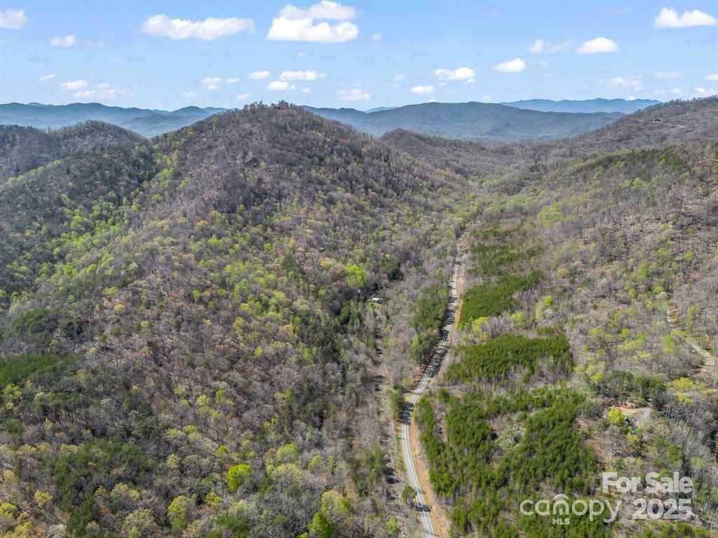 2921 Painters Gap Road Union Mills, NC 28167 - Photo 5 of 44 a view of a lush green forest with mountains in the background