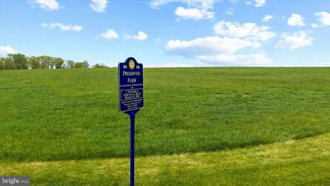 a view of grassy field with mountain