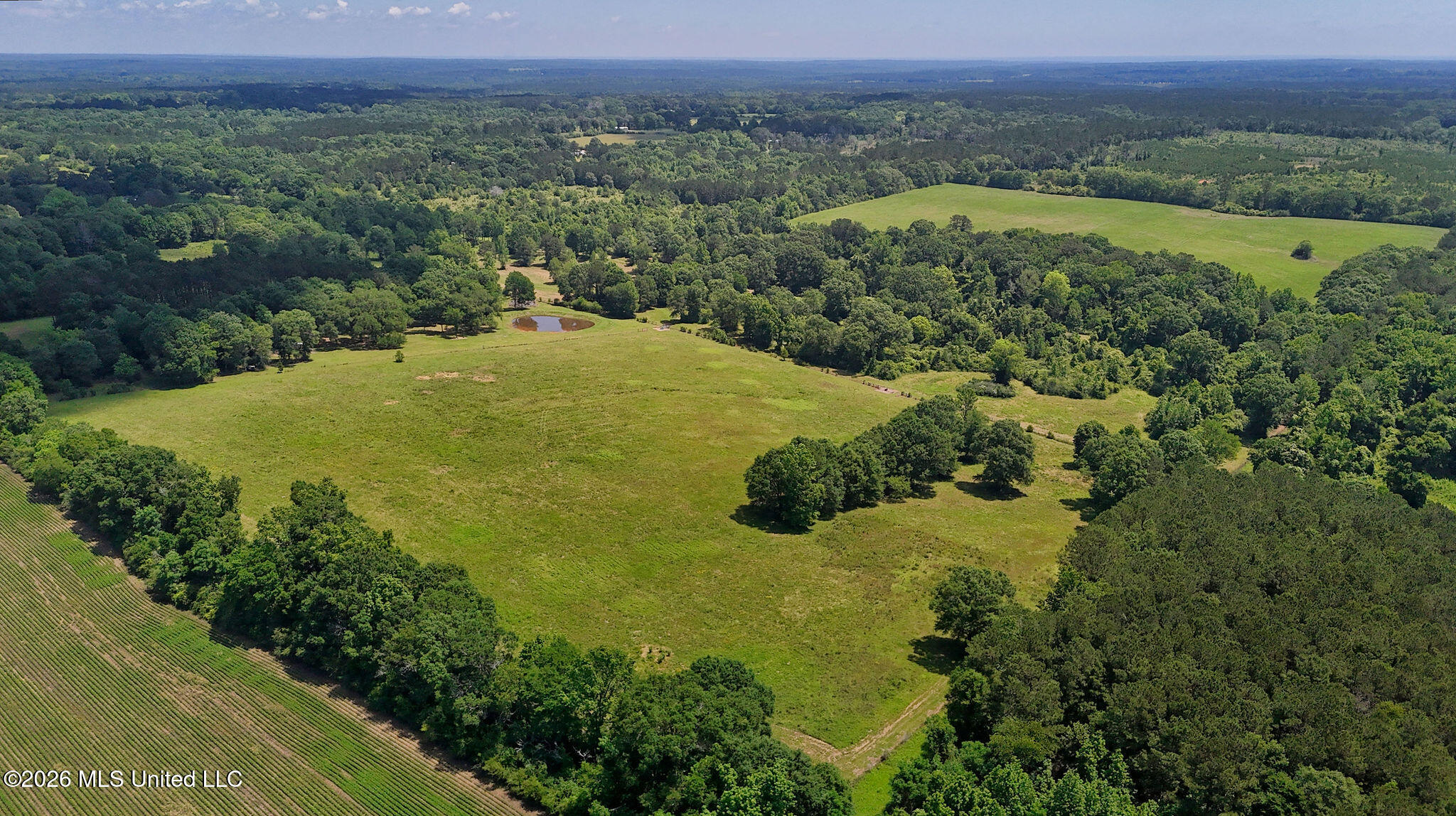 37 Fortenberry Road Tylertown, MS 39667 - Photo 31 of 83 DJI_20260513115421_0173_D