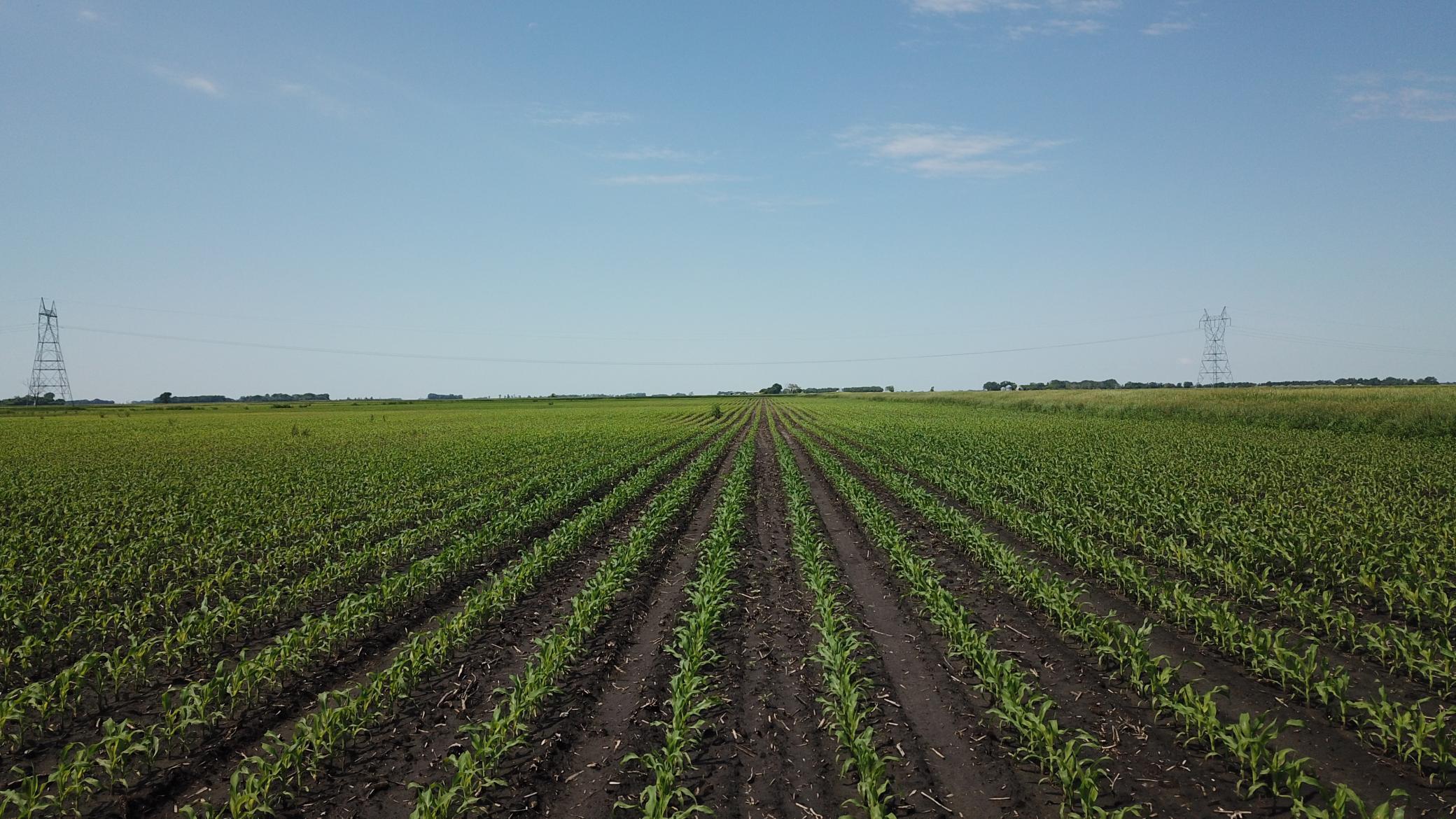 Tbd T-182 Herman, MN 56248 - Photo 1 of 1