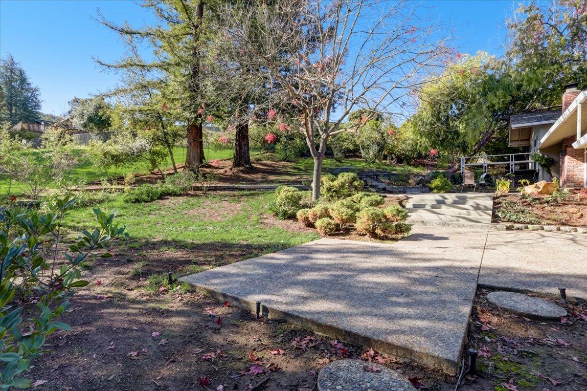 1276 Echo Valley Drive San Jose, CA 95120 - Photo 37 of 54 a view of a yard with plants and trees