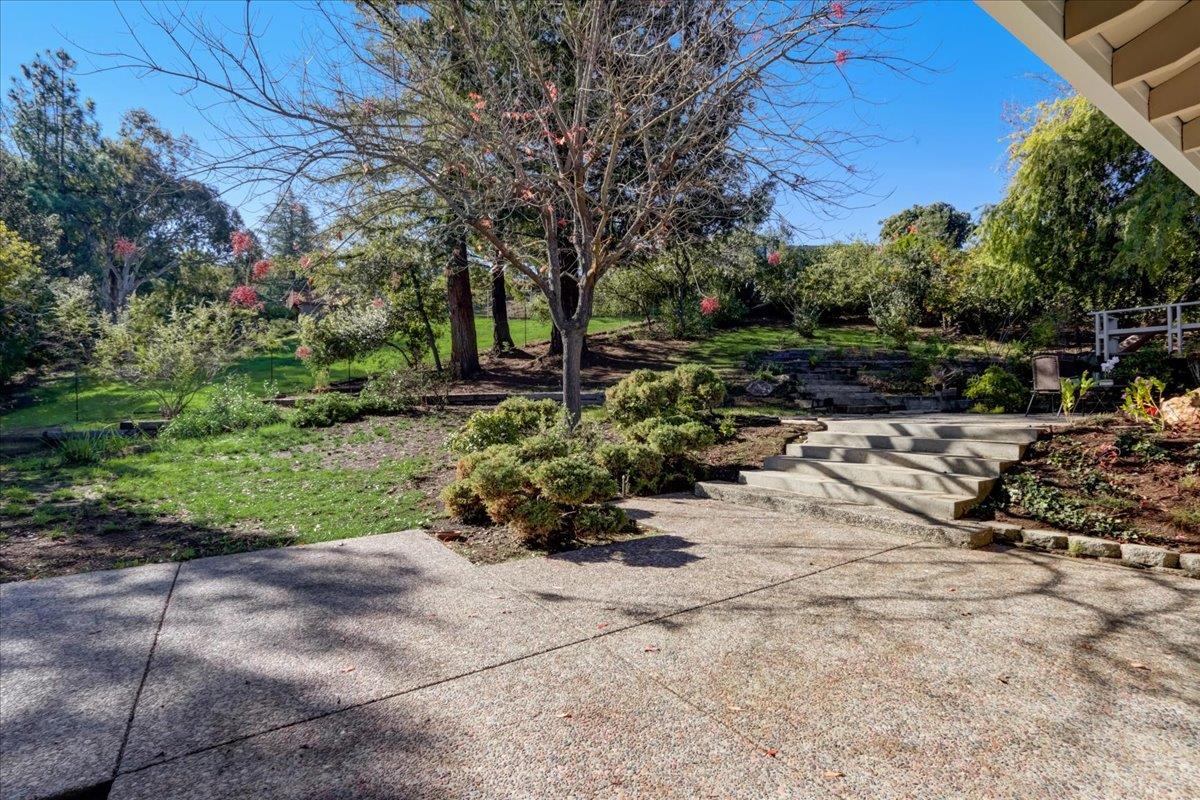 1276 Echo Valley Drive San Jose, CA 95120 - Photo 38 of 54 a view of a park with large trees