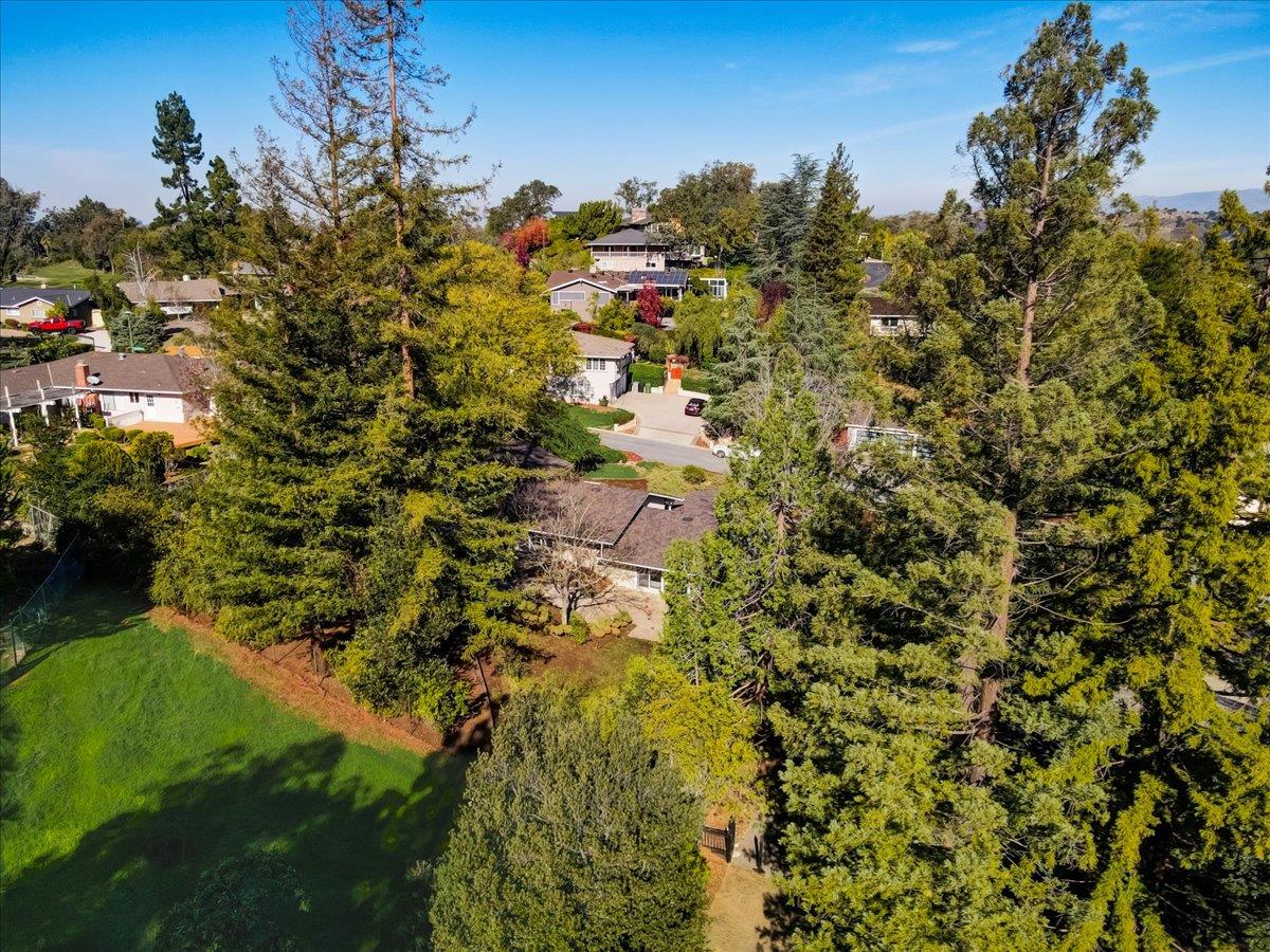 1276 Echo Valley Drive San Jose, CA 95120 - Photo 52 of 54 a view of a garden