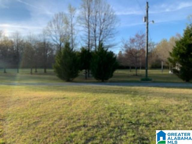 253 Foster Lane Sylacauga, AL 35150 - Photo 4 of 30