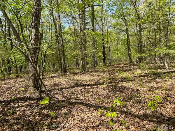 $997,500 | 2551 Yellow Rock Road, De Soto, MO 63020