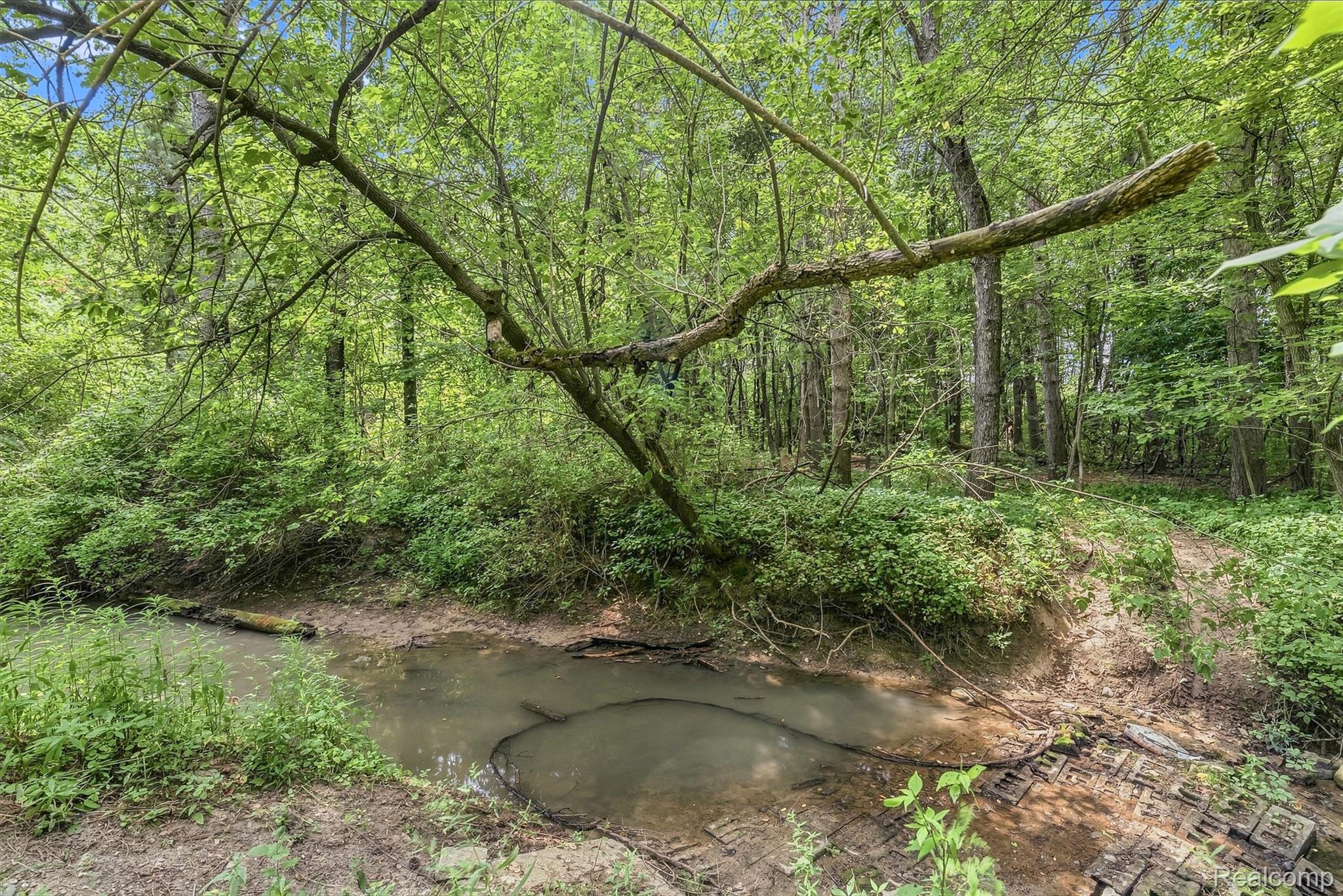 6163 North State Road Davison, MI 48423 - Photo 44 of 45 Natural wooded setting featuring a meandering stream and mature trees