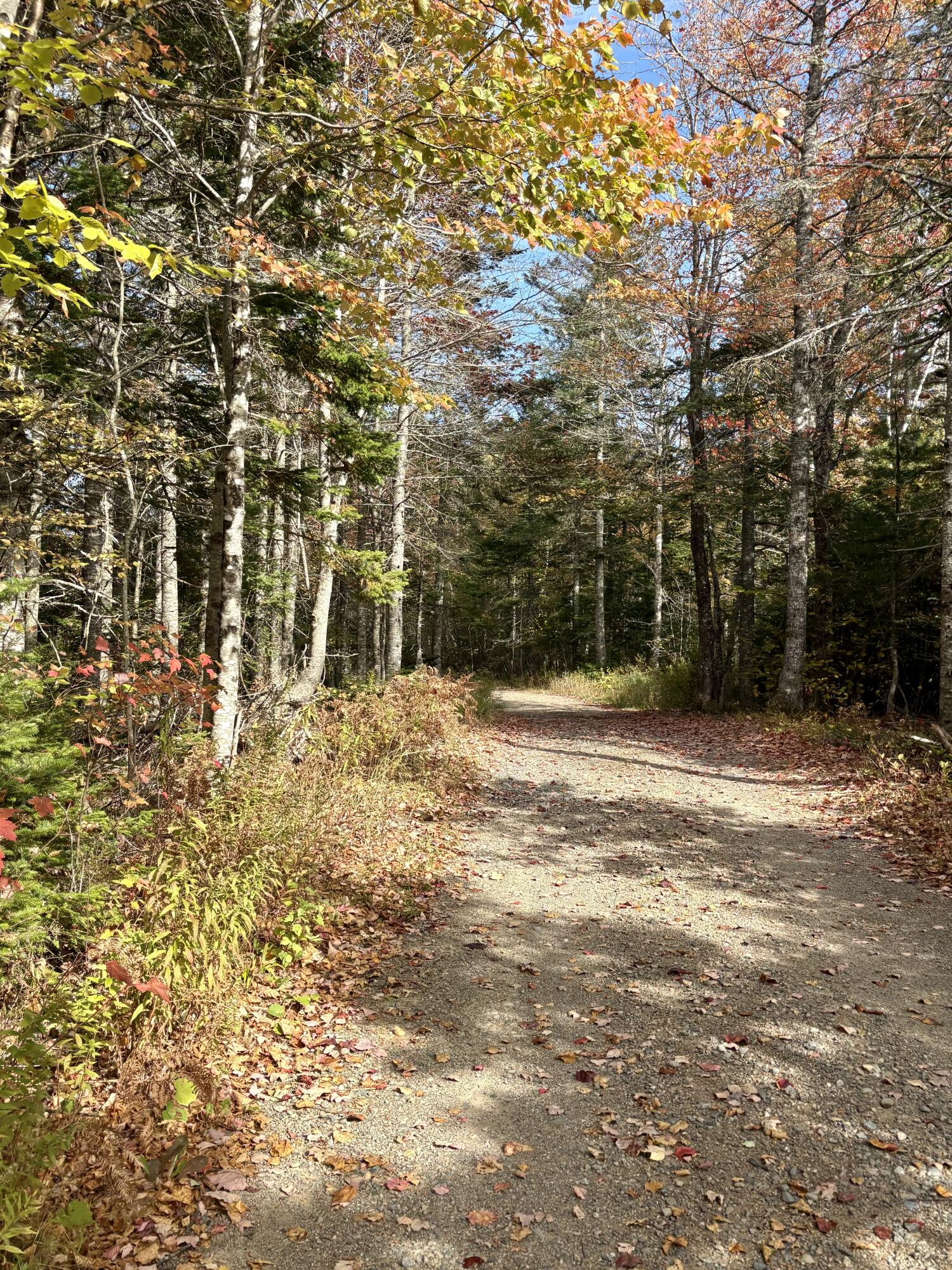 Xx South Meadow Road Perry, ME 04667 - Photo 10 of 12 IMG_0320