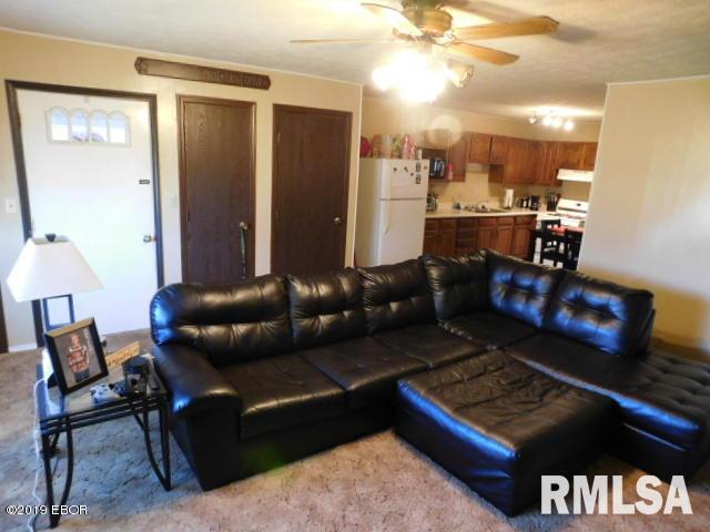 3544 Farthing Road Odin, IL 62870 - Photo 4 of 16