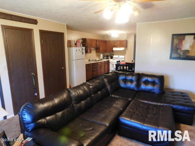 3544 Farthing Road Odin, IL 62870 - Photo 5 of 16