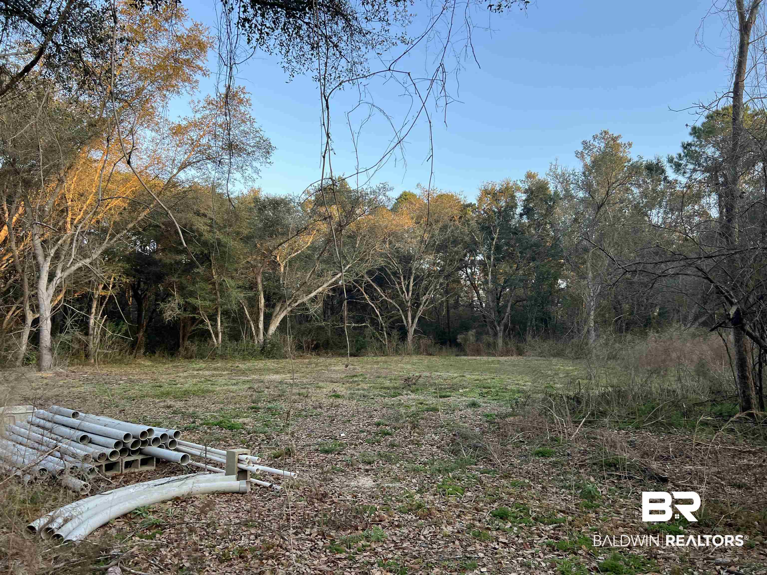 20568 Keller Road Foley, AL 36535 - Photo 11 of 13 View of yard