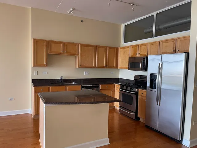 $3,100 | 1305 South Michigan Avenue, Unit 1702, Chicago, IL 60605