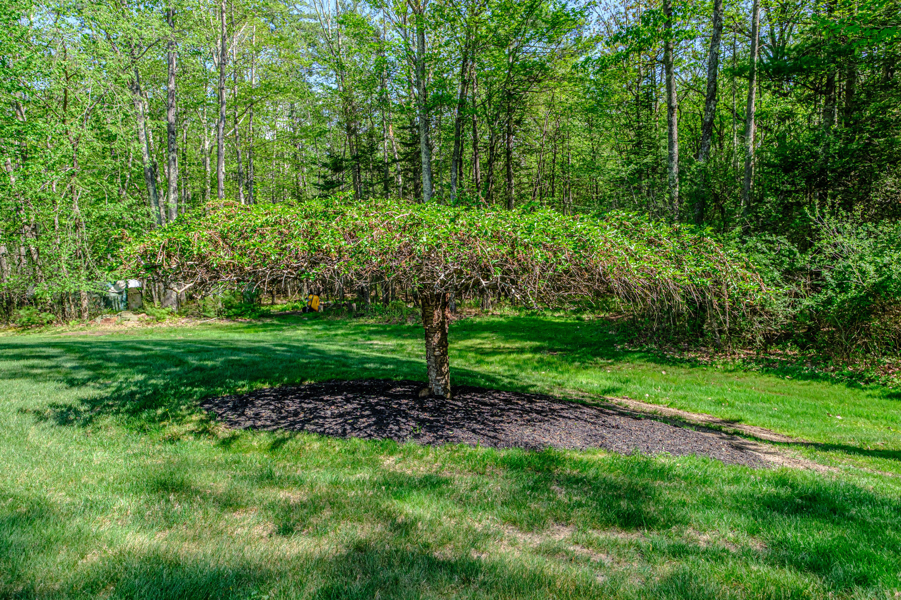 18 Herrick Road Gorham, ME 04038 - Photo 106 of 158 20260520gp-62108
