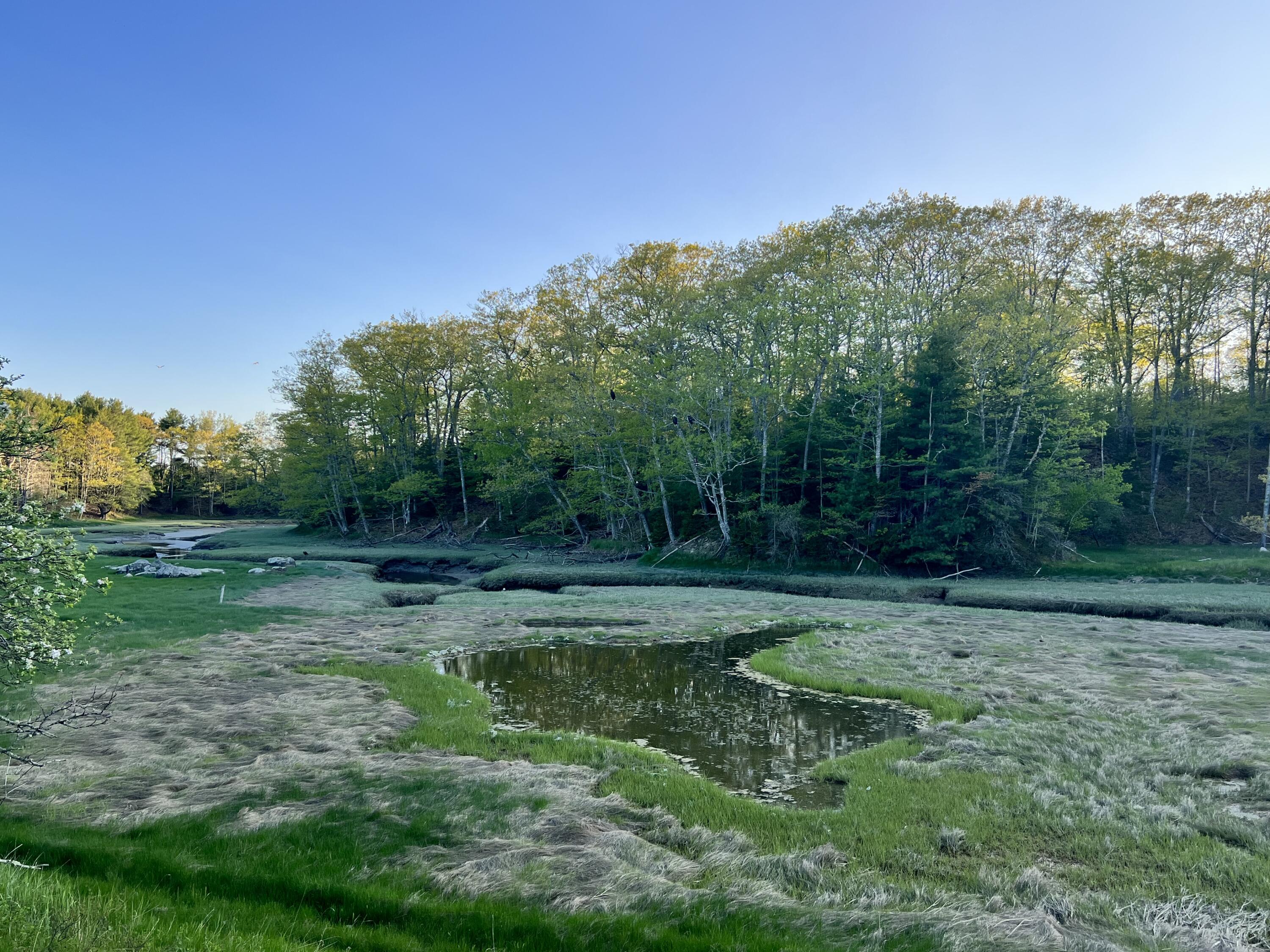 Lot 6 Bayview Road Penobscot, ME 04476 - Photo 2 of 5 IMG_3008