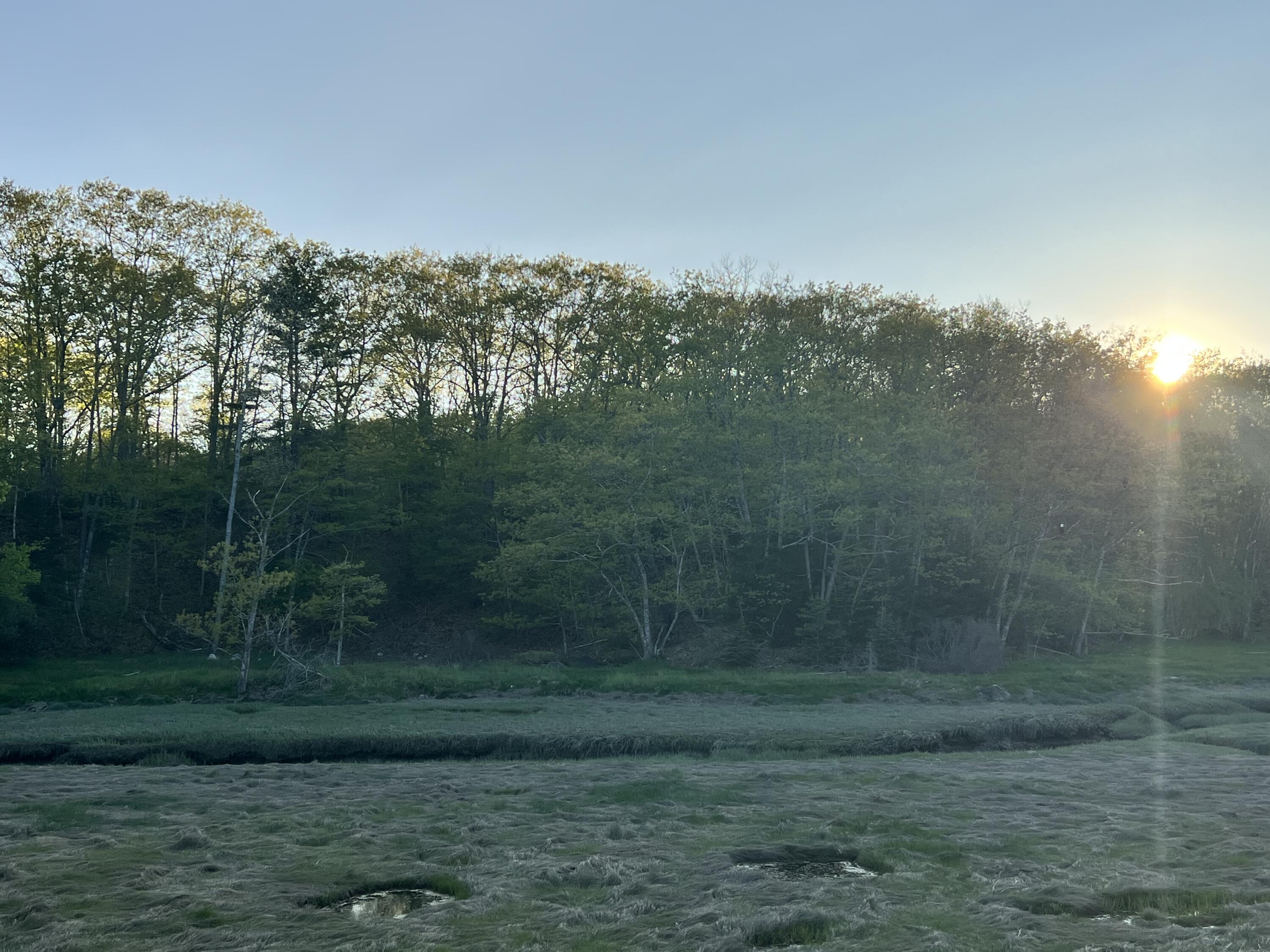 Lot 6 Bayview Road Penobscot, ME 04476 - Photo 3 of 5 IMG_3002