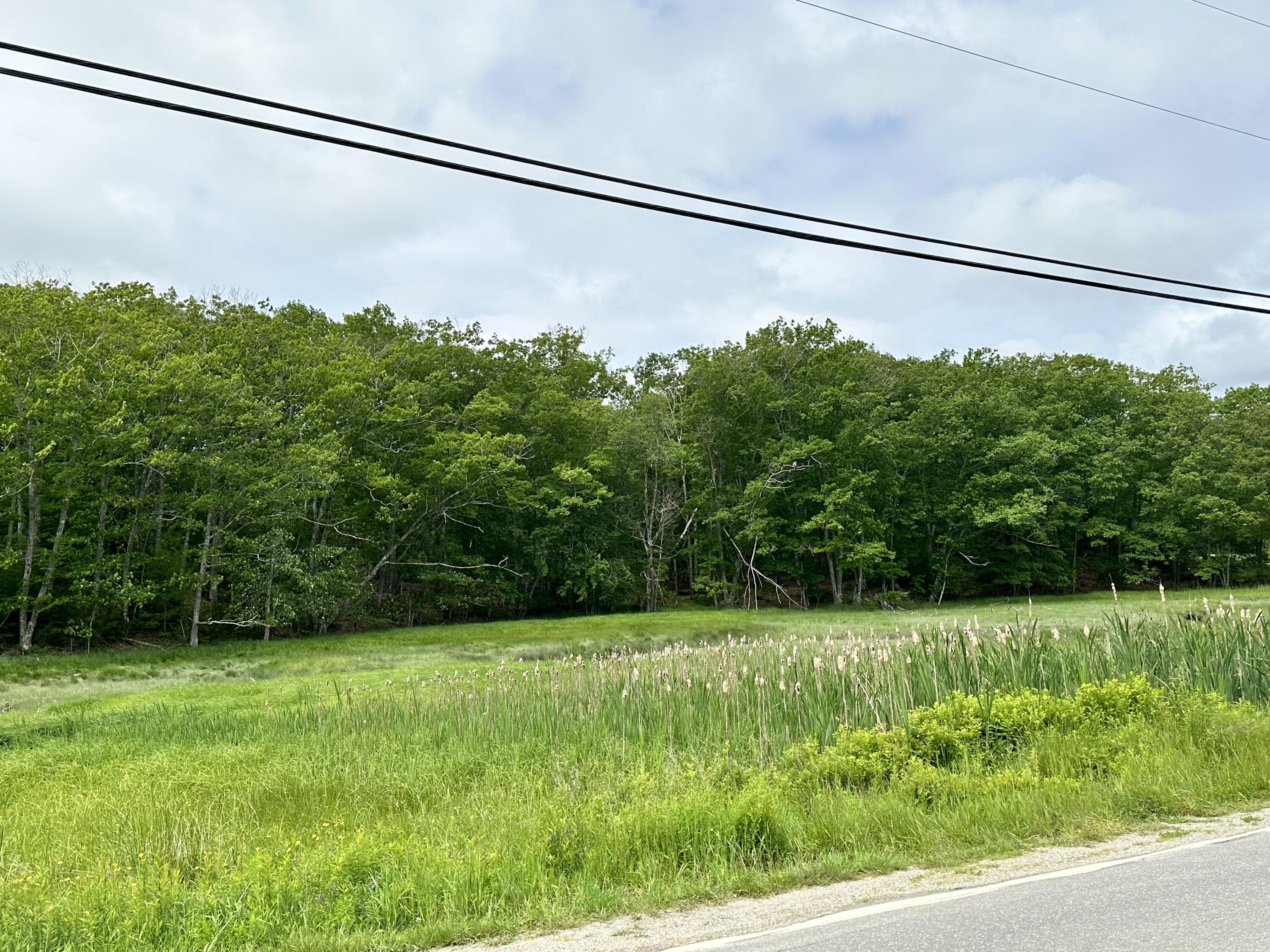 Lot 6 Bayview Road Penobscot, ME 04476 - Photo 5 of 5 IMG_3227