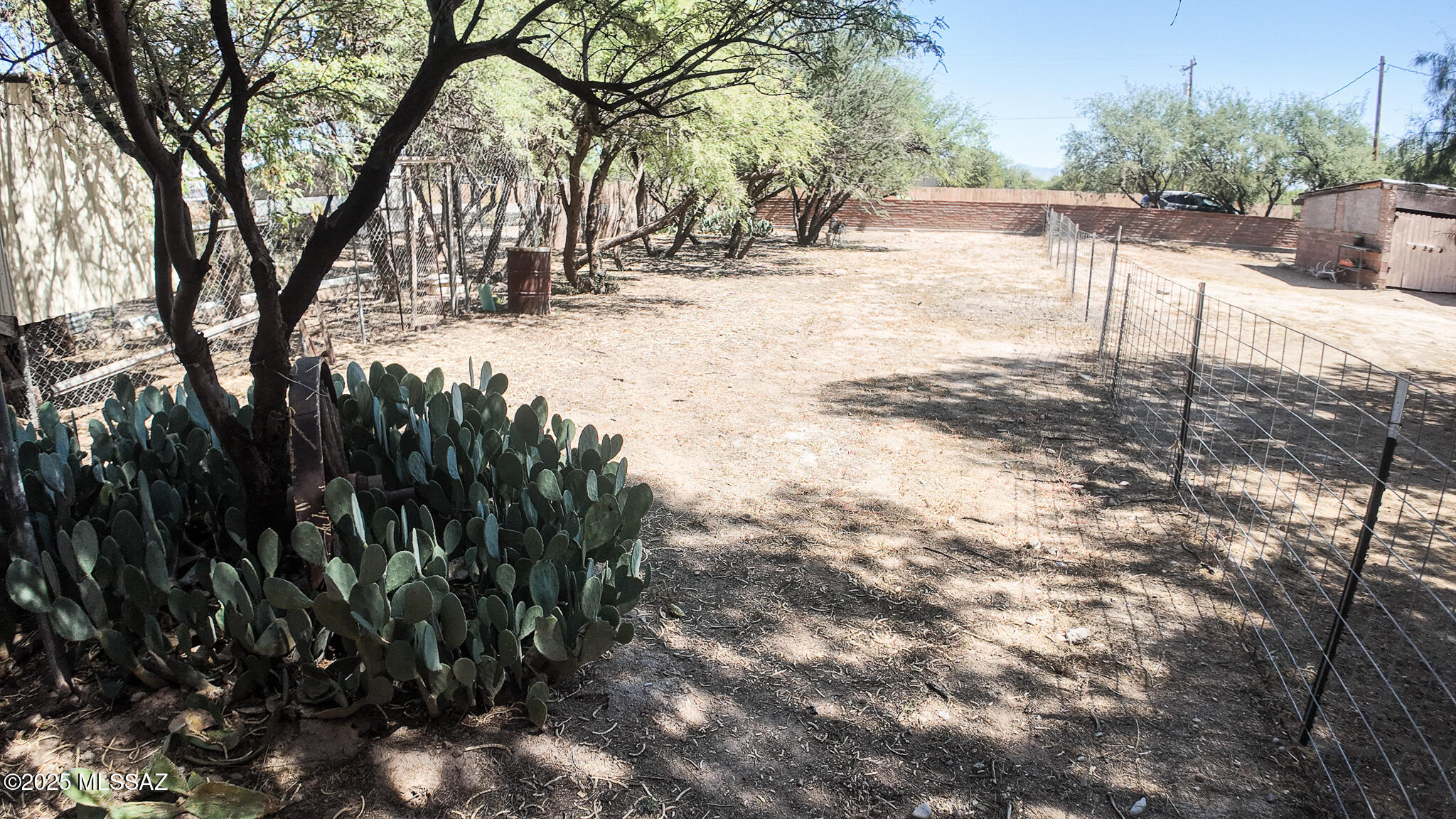 1094 North Pomerene Road Benson, AZ 85602 - Photo 25 of 48 a view of a yard with trees