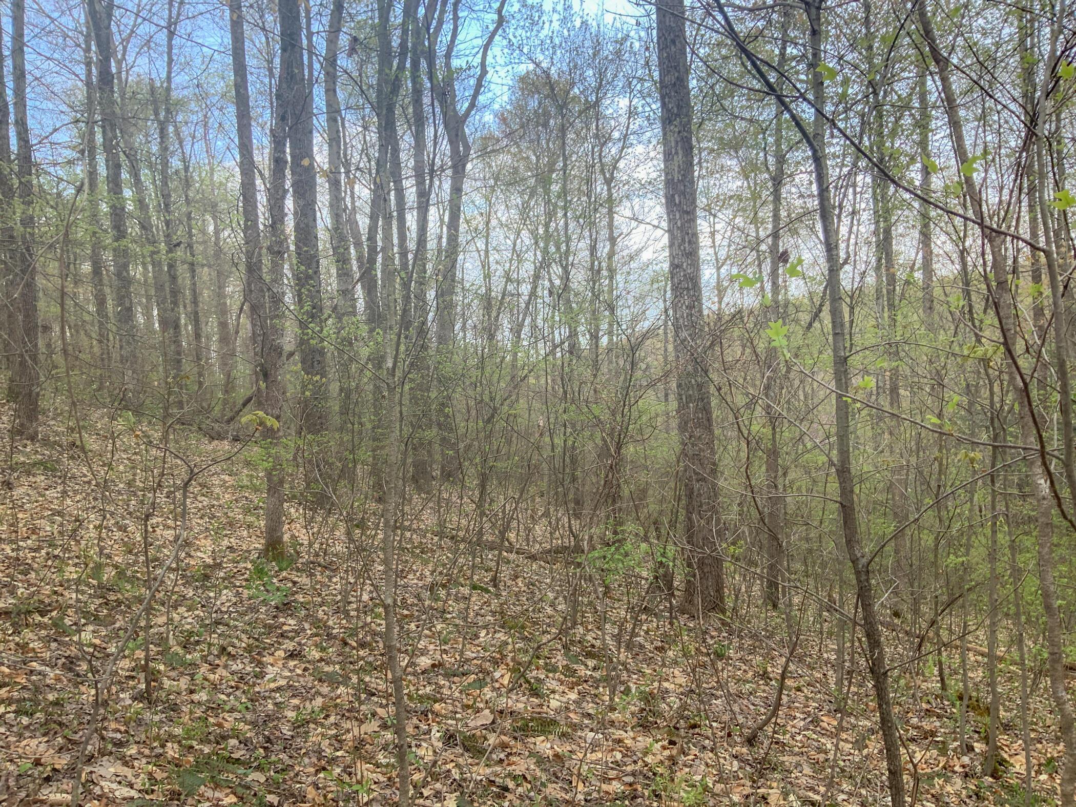 0 West Clark Road Ray, OH 45672 - Photo 7 of 9 IMG_0503
