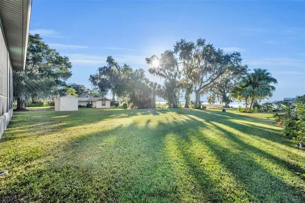 a view of a park with large trees