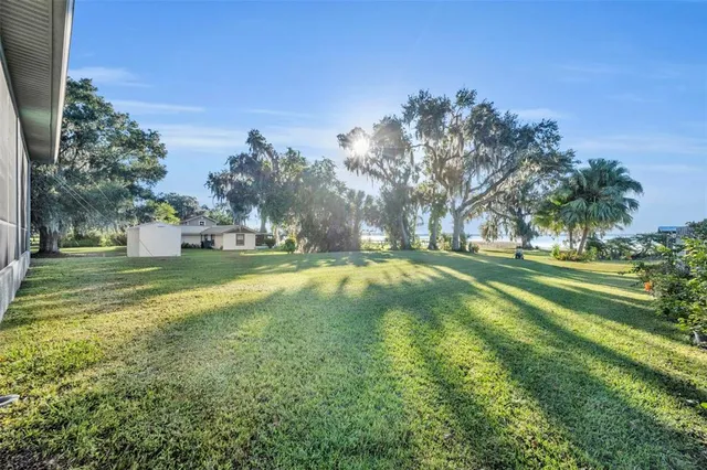a view of a park with large trees