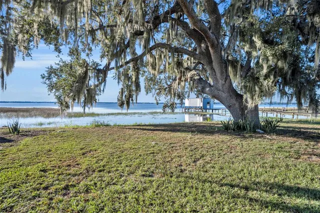 a view of a yard with a tree