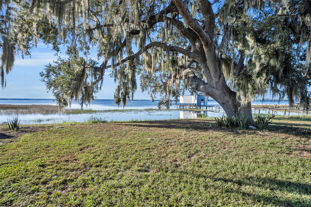 1947 North Lake Reedy Boulevard Frostproof, FL 33843 - Photo 25 of 31 a view of a yard with a tree