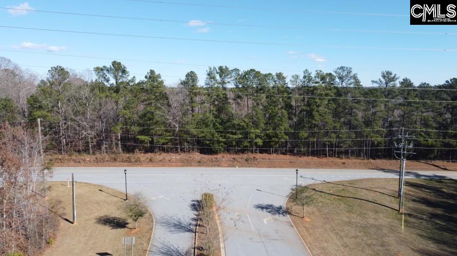 637 Cook Road Ridgeway, SC 29130 - Photo 5 of 51