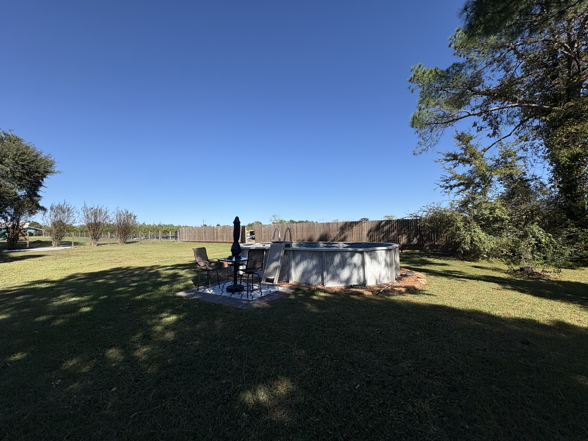 29922 Hegar Road Hockley, TX 77447 - Photo 5 of 19