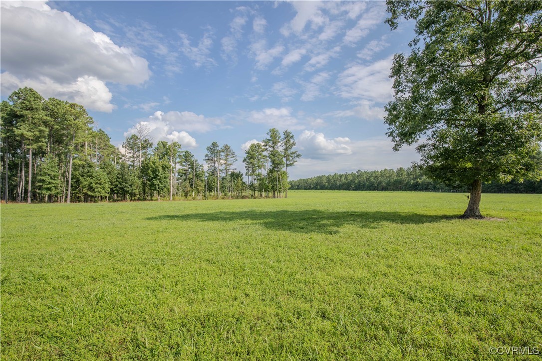0 Green Level Road King William, VA 23086 - Photo 8 of 29 a view of a green field