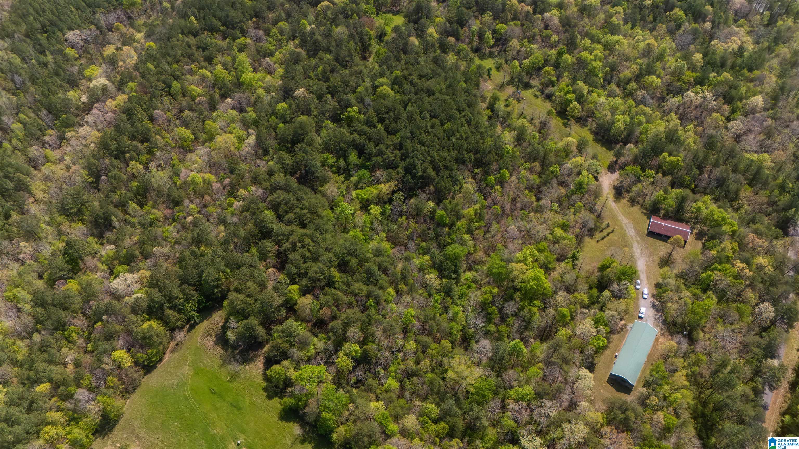 2121 Center Hill Road Trafford, AL 35172 - Photo 38 of 100