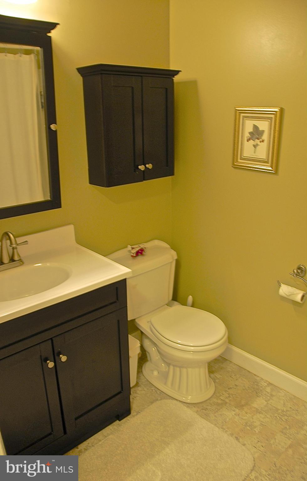 1478 Roundleaf Court Reston, VA 20190 - Photo 13 of 17 Hall Bath