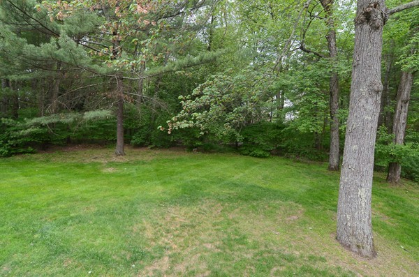 36 Old Farm Road Dover, MA 02030 - Photo 19 of 20 Gallery Image 19