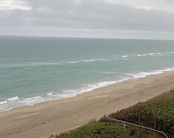 $5,500 | 7420 South Ocean Drive, Unit 216, Jensen Beach, FL 34957