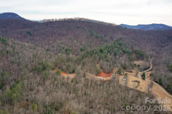 a view of a forest with mountains in the background