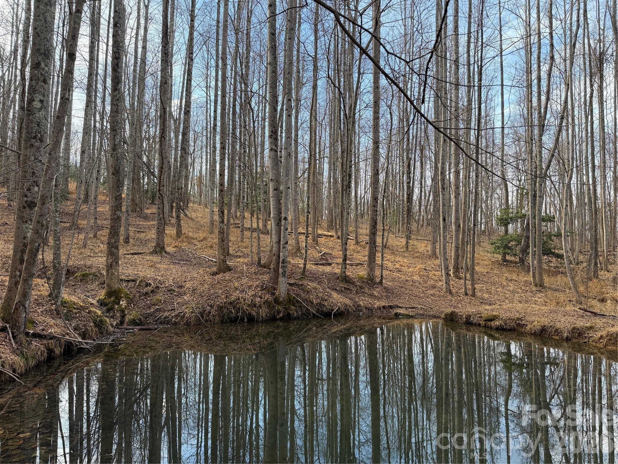 Tbd West Meadows Road Moravian Falls, NC 28654 - Photo 11 of 41
