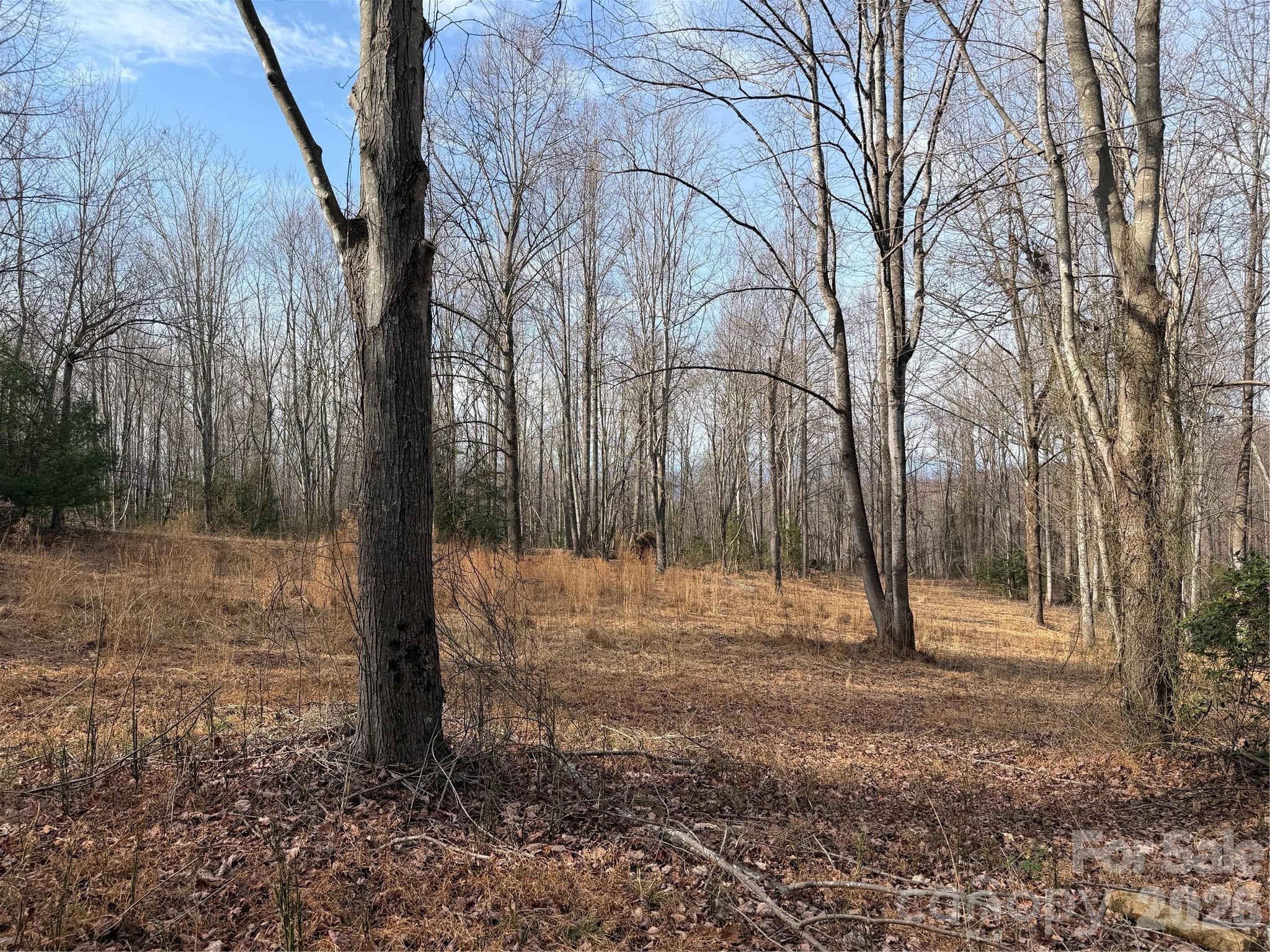Tbd West Meadows Road Moravian Falls, NC 28654 - Photo 13 of 41 a backyard of a house with lots of green space