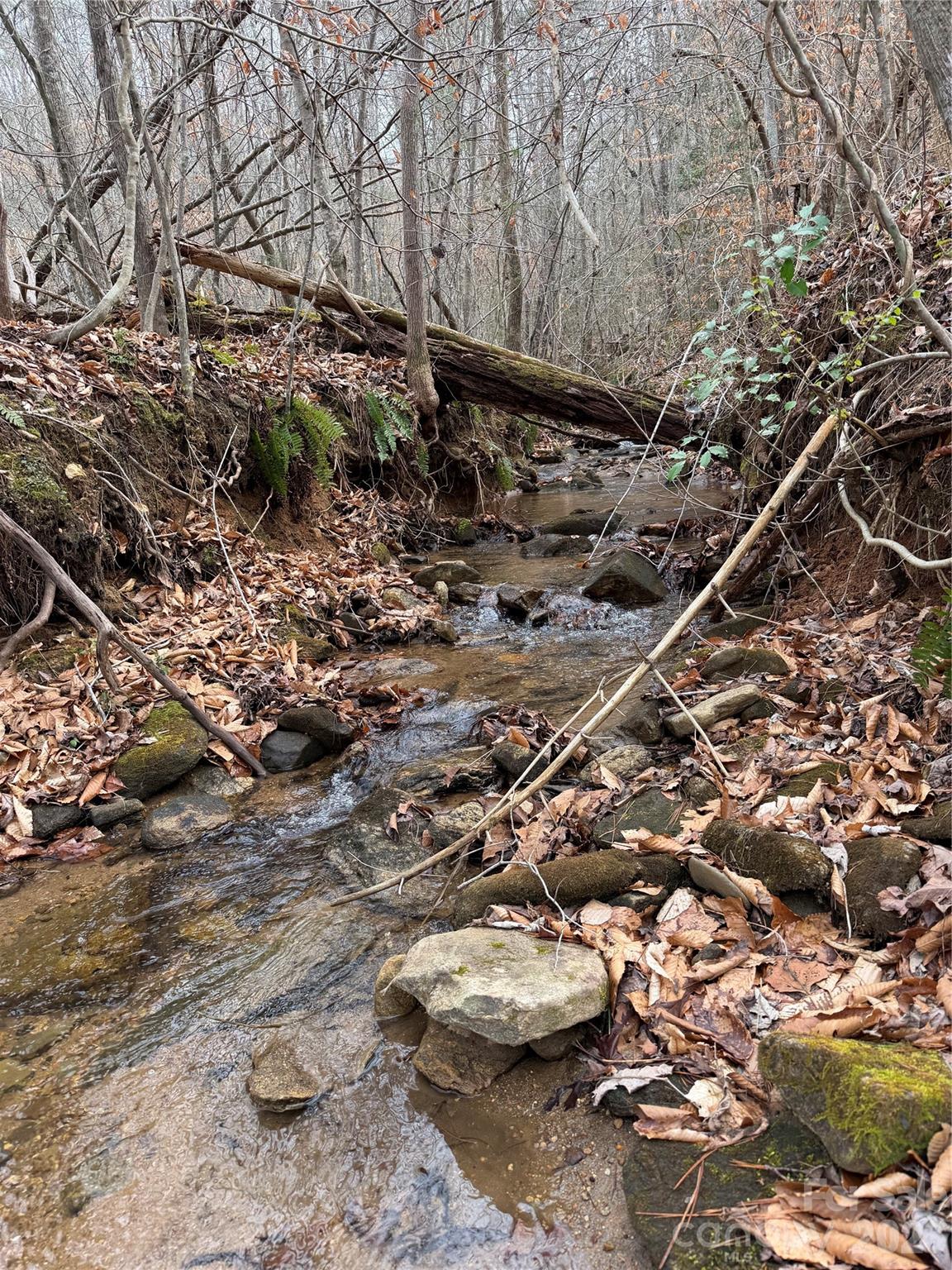 Tbd West Meadows Road Moravian Falls, NC 28654 - Photo 14 of 41