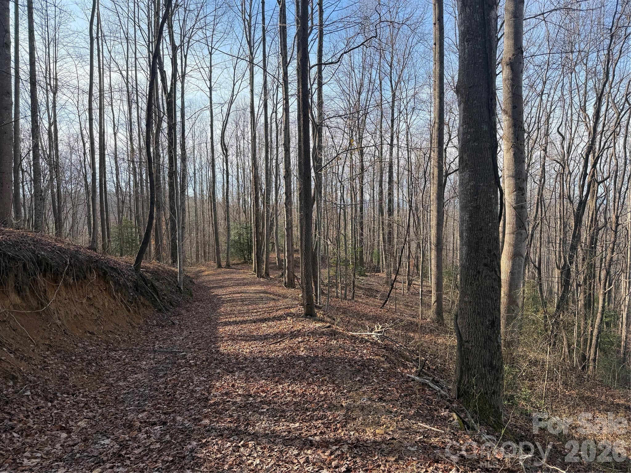 Tbd West Meadows Road Moravian Falls, NC 28654 - Photo 15 of 41 a view of a backyard with pathway