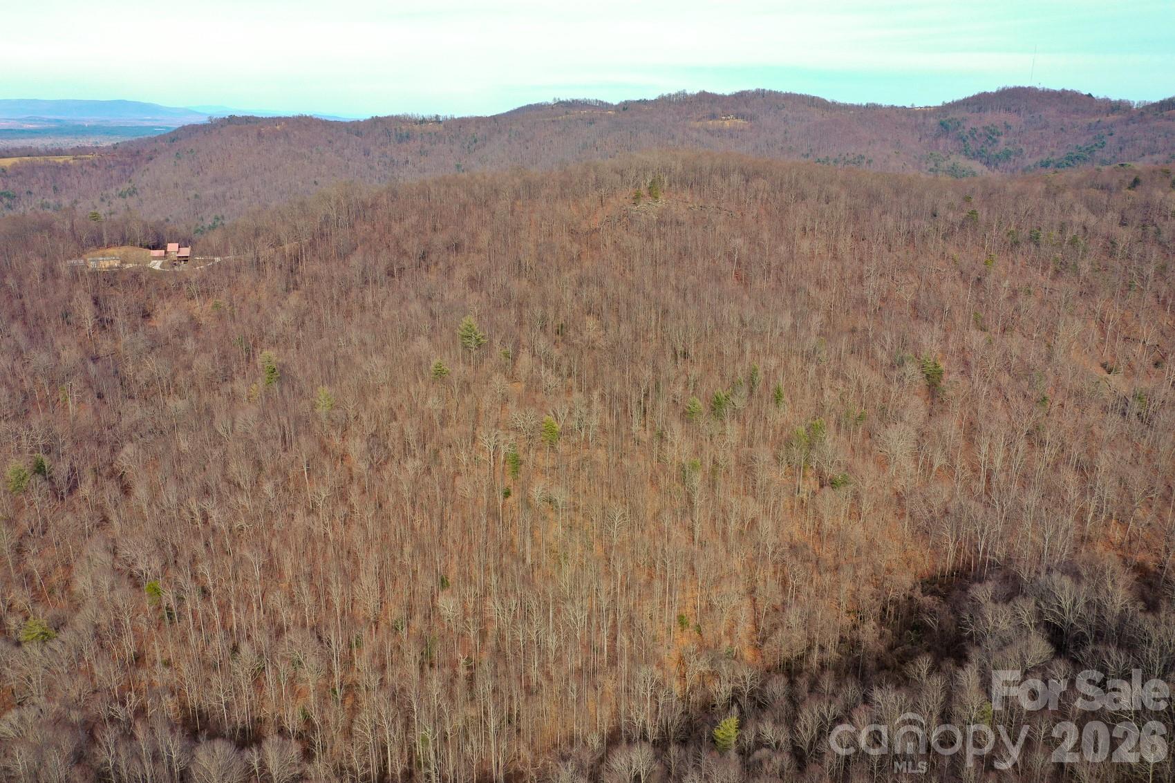 Tbd West Meadows Road Moravian Falls, NC 28654 - Photo 17 of 41 a view of a mountain in the distance