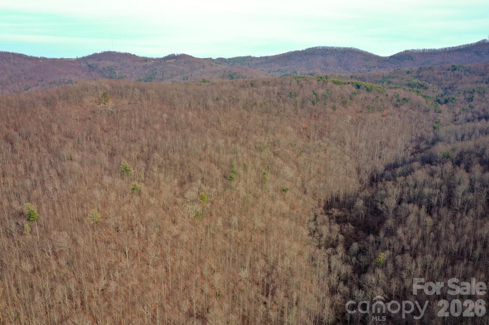 Tbd West Meadows Road Moravian Falls, NC 28654 - Photo 18 of 41 a view of a mountain in the distance