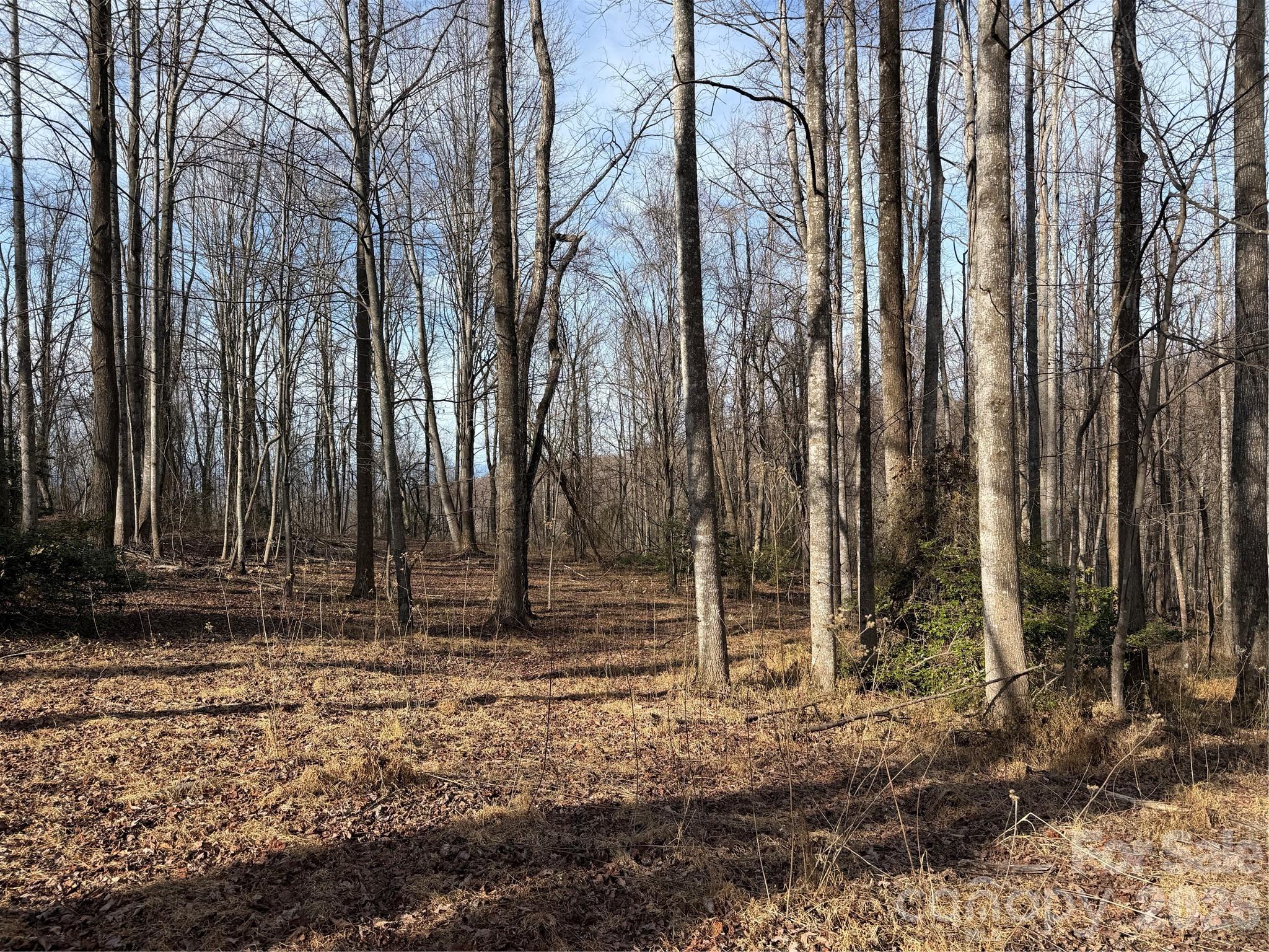 Tbd West Meadows Road Moravian Falls, NC 28654 - Photo 22 of 41