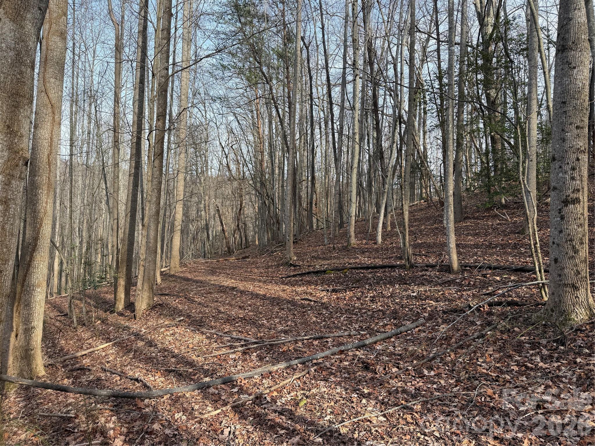 Tbd West Meadows Road Moravian Falls, NC 28654 - Photo 23 of 41 a backyard of a house with lots of green space