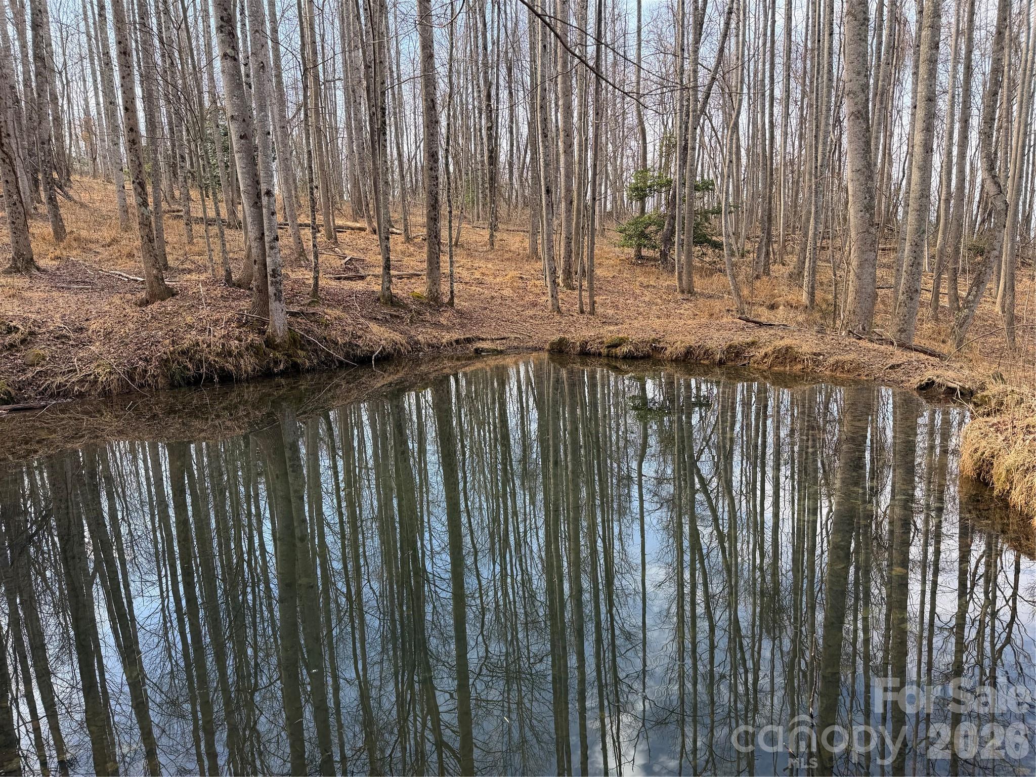 Tbd West Meadows Road Moravian Falls, NC 28654 - Photo 24 of 41
