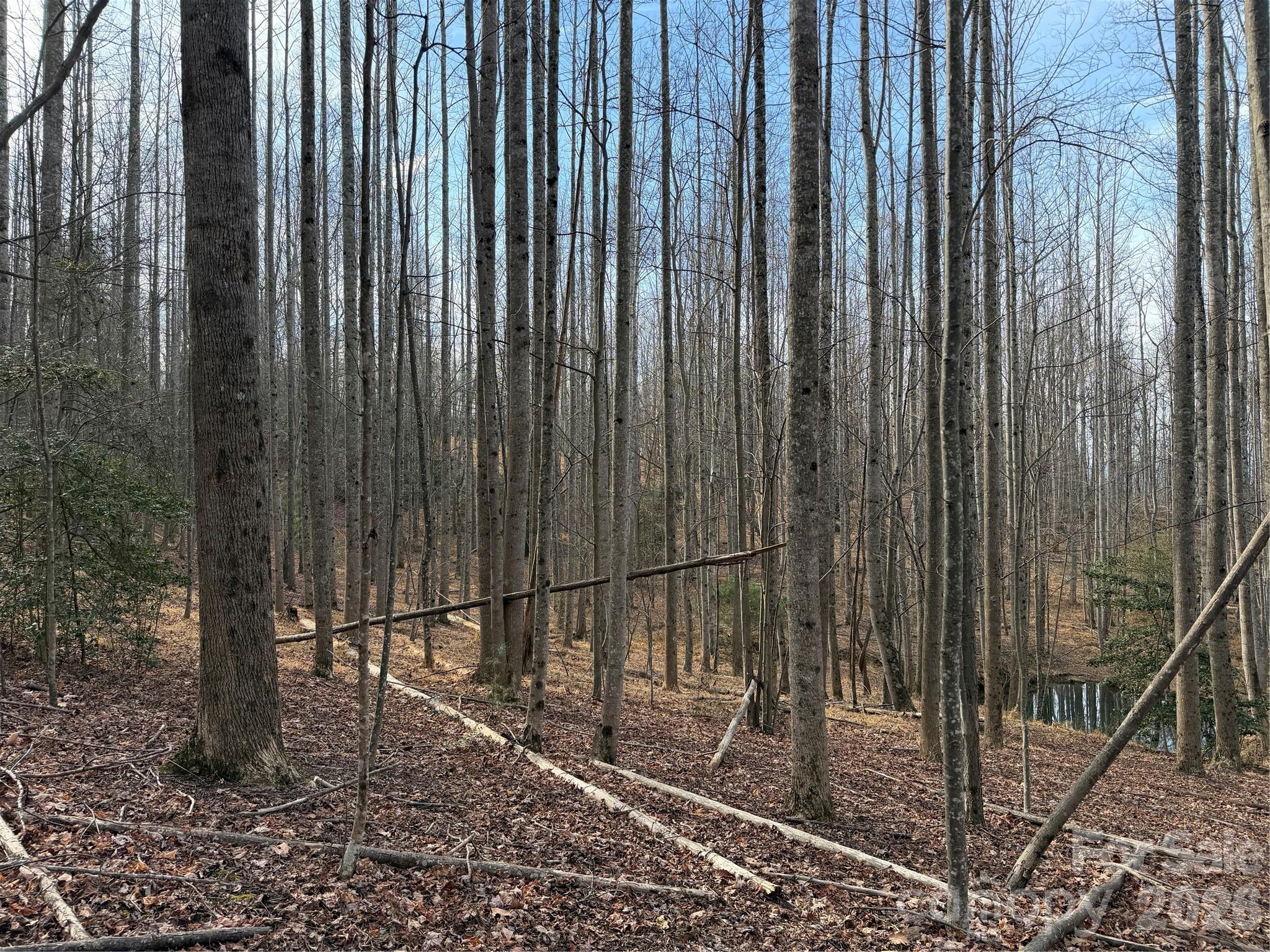 Tbd West Meadows Road Moravian Falls, NC 28654 - Photo 25 of 41 a backyard of a house with lots of green space